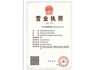 四川橋梁支座更換營(yíng)業(yè)執(zhí)照