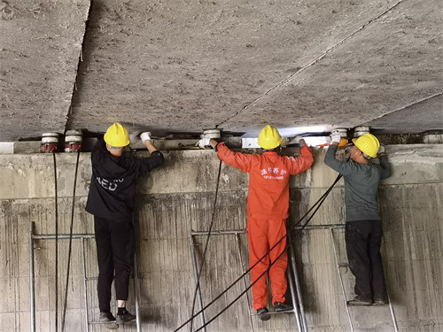 成都橋梁支座更換 成都橋梁支座更換